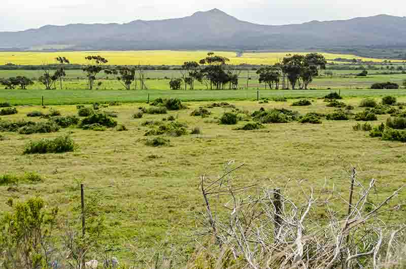 95 - Sudafrica - paisaje
